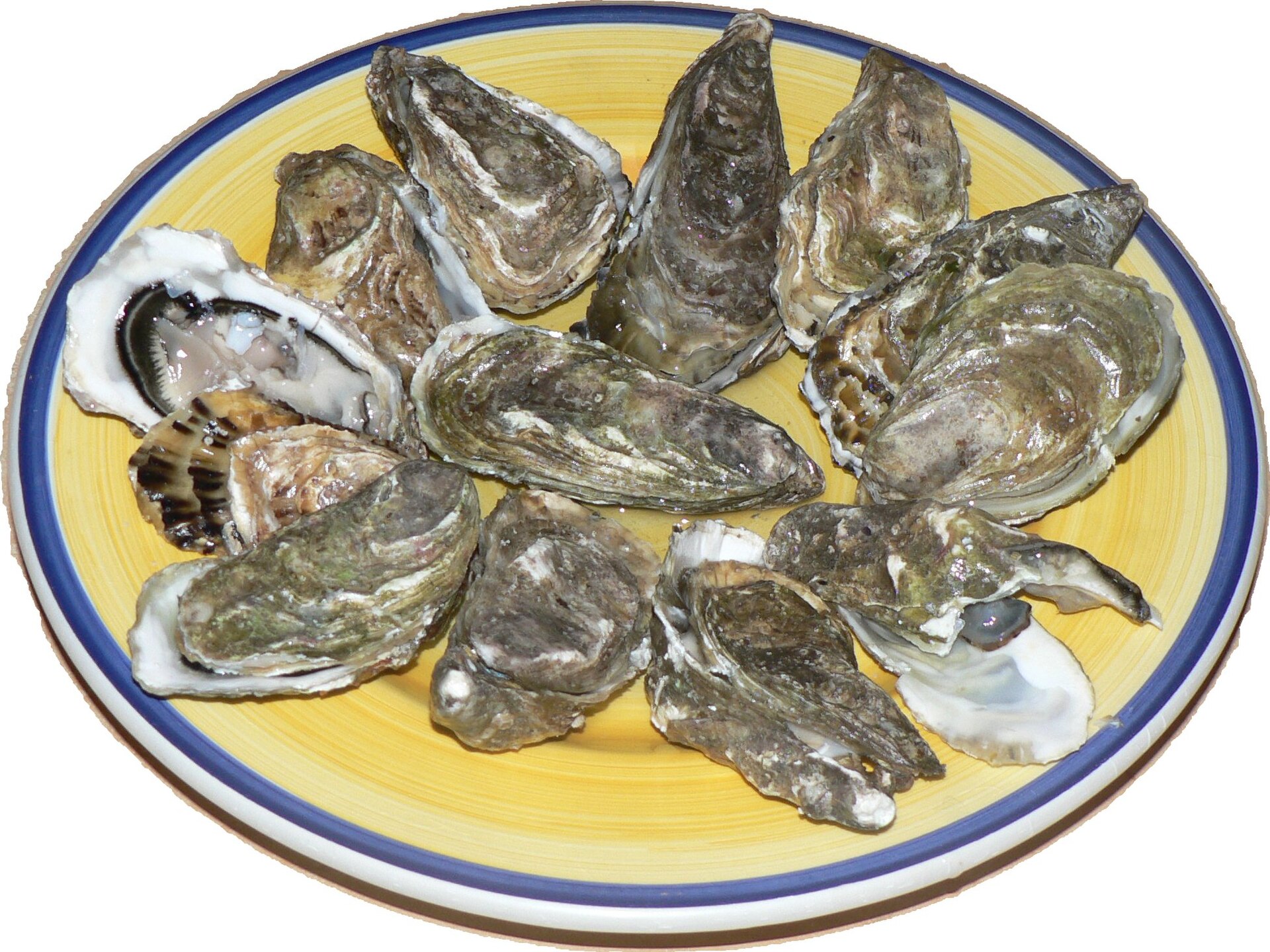 The Best Seafood Experiences on the Eyre Peninsula