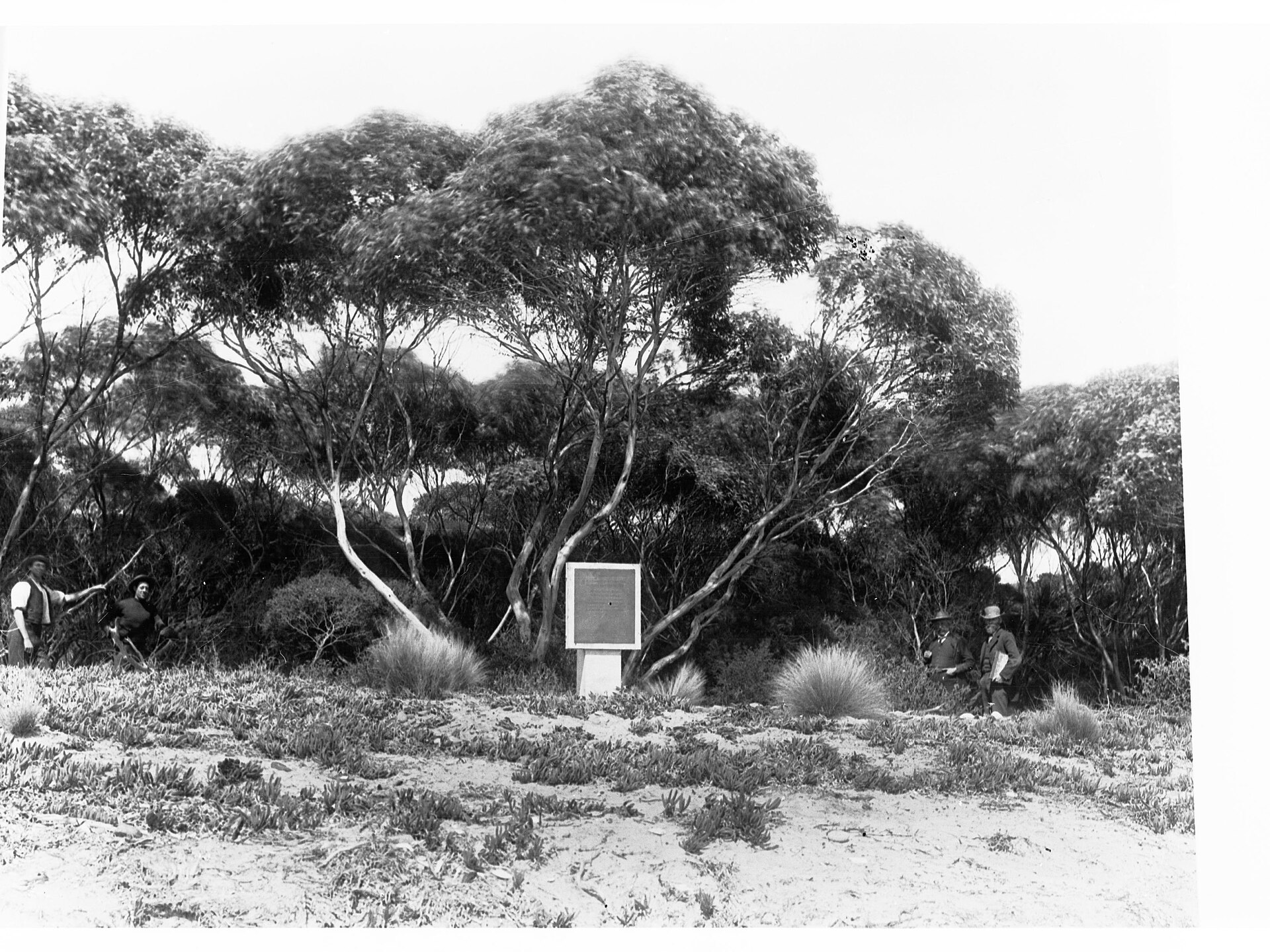 The Best Camping Spots on the Eyre Peninsula