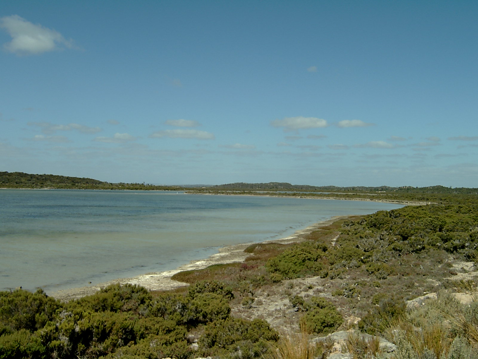 Yangie Bay
