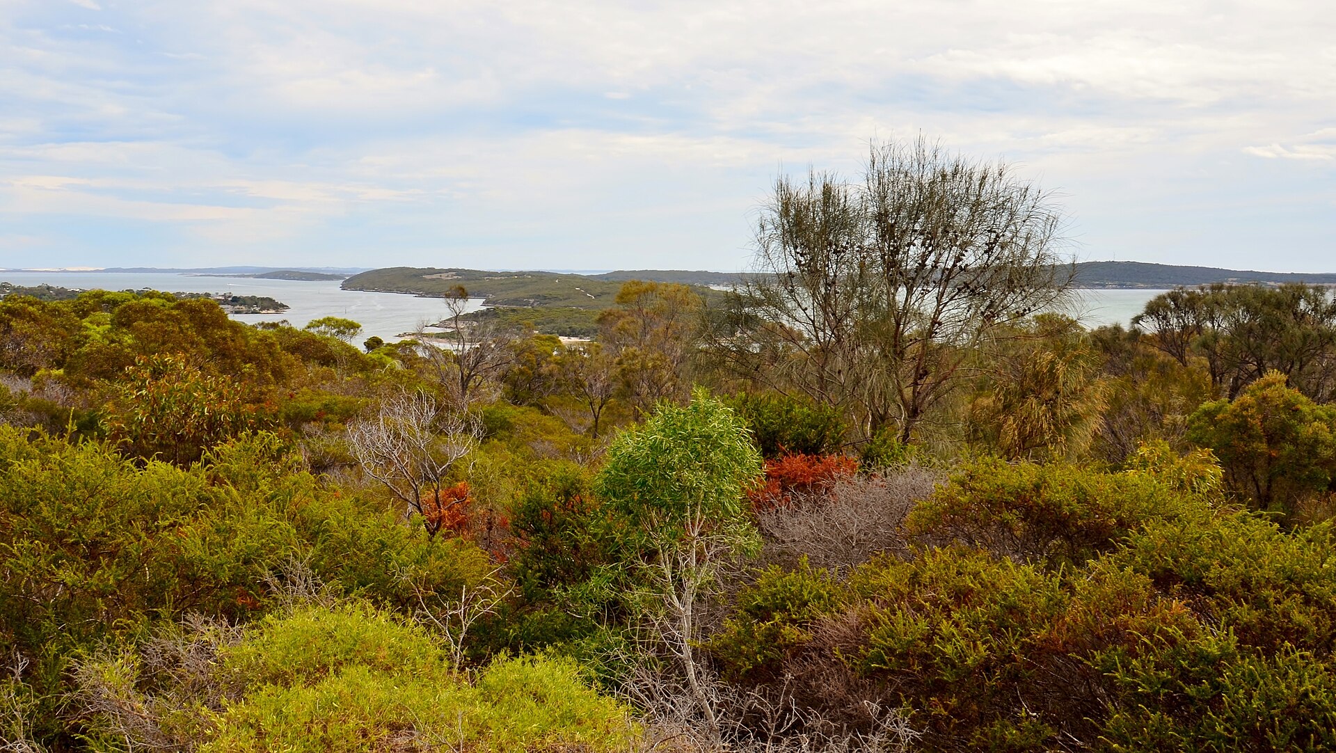Kellidie Bay Conservation Park