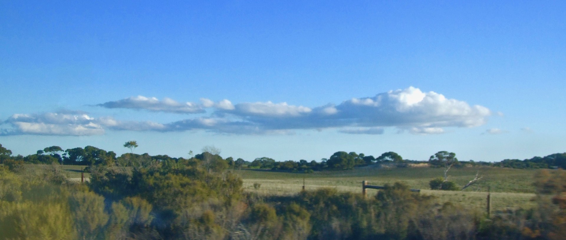Pinkawillinie Conservation Park