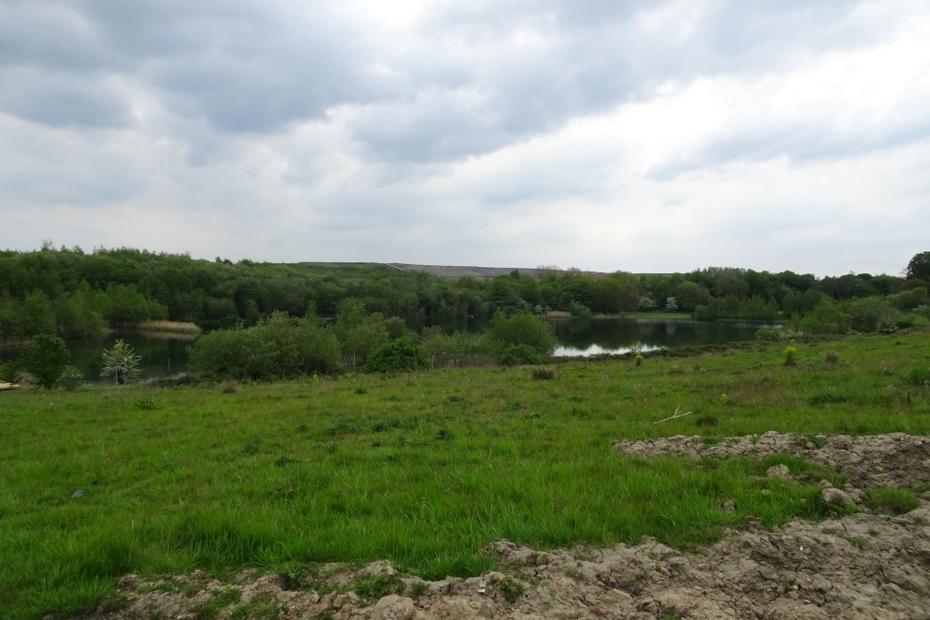 Lake Newland Conservation Park
