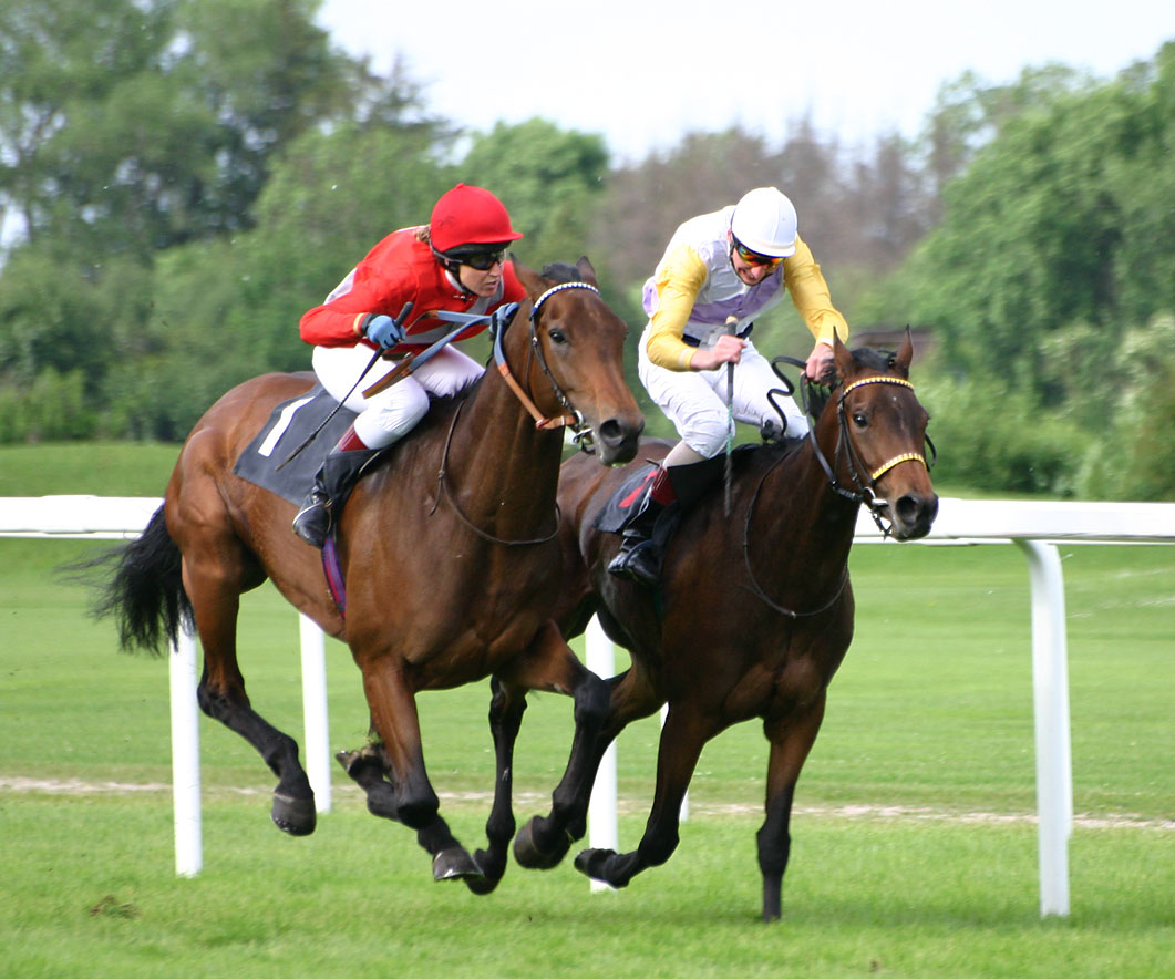 Port Lincoln Cup Carnival