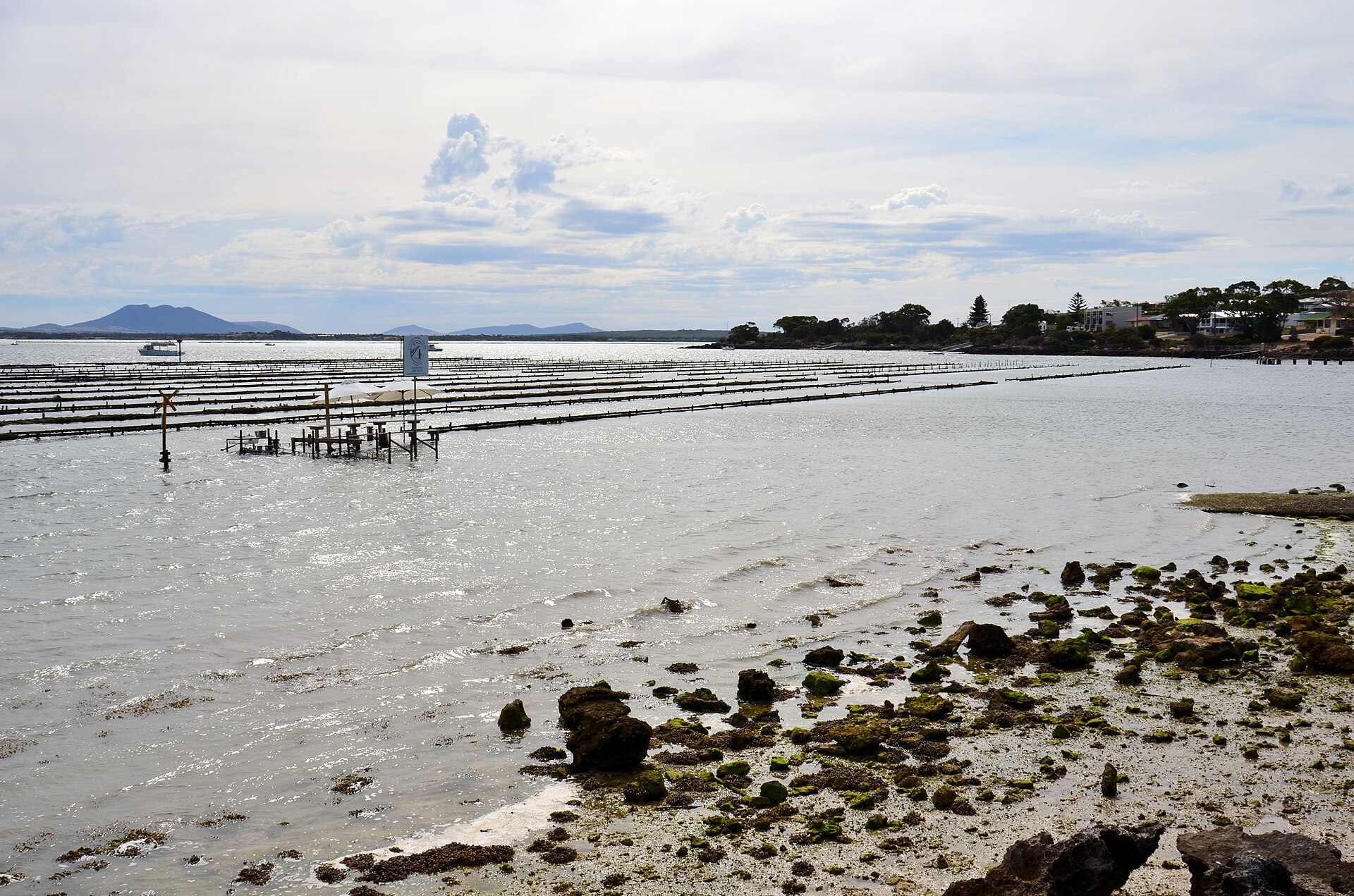 The Oyster Coast